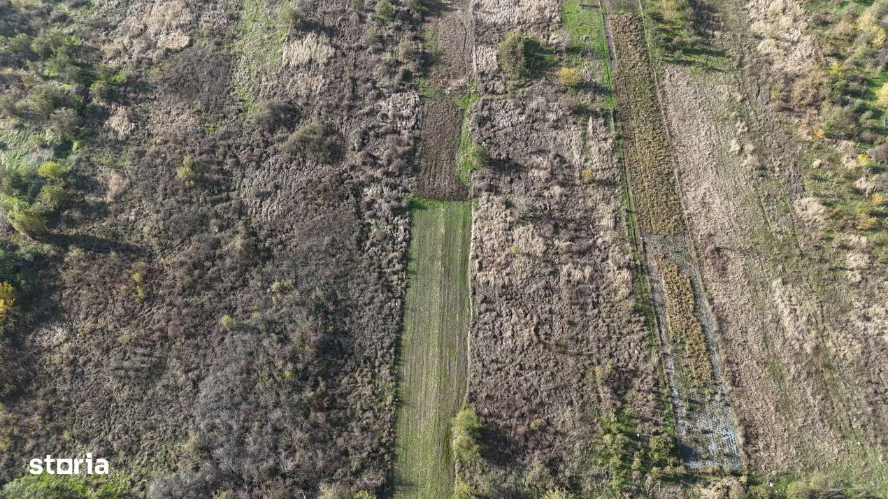 Vidra – Teren 1100 mp – Drum de Acces – Ideal Casa-1