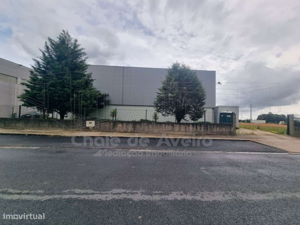 Armazém Industrial (Albergaria-a-Velha)-8