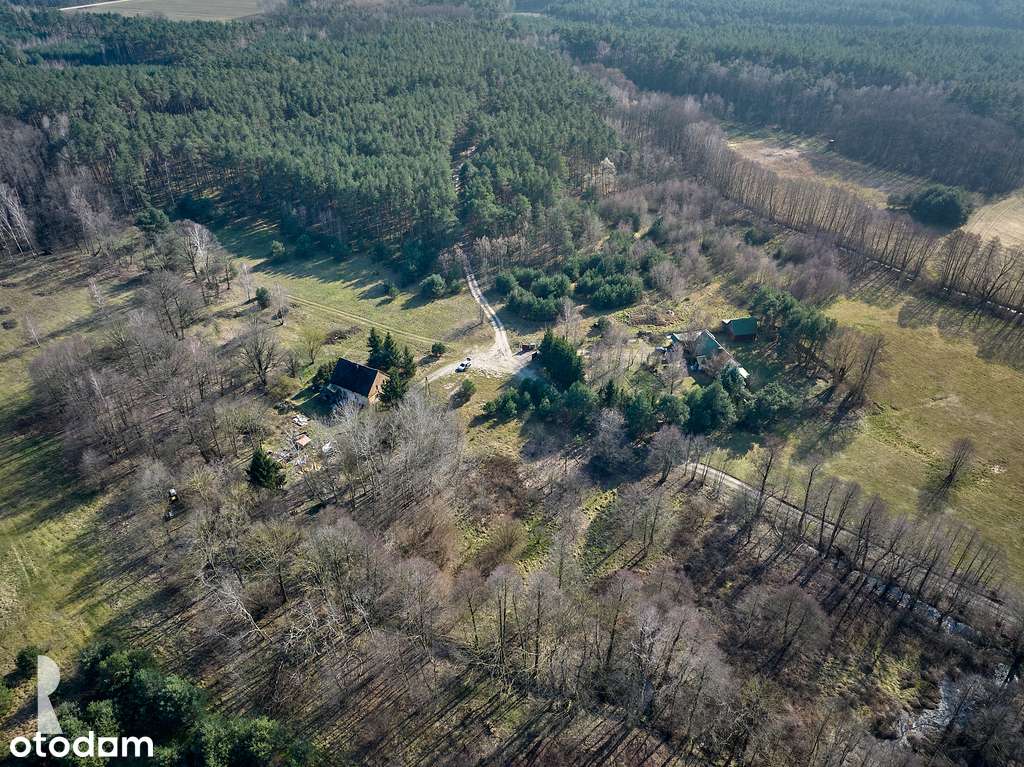 Malownicza działka z WZ pod lasem - Pełny obrazek: 4/7