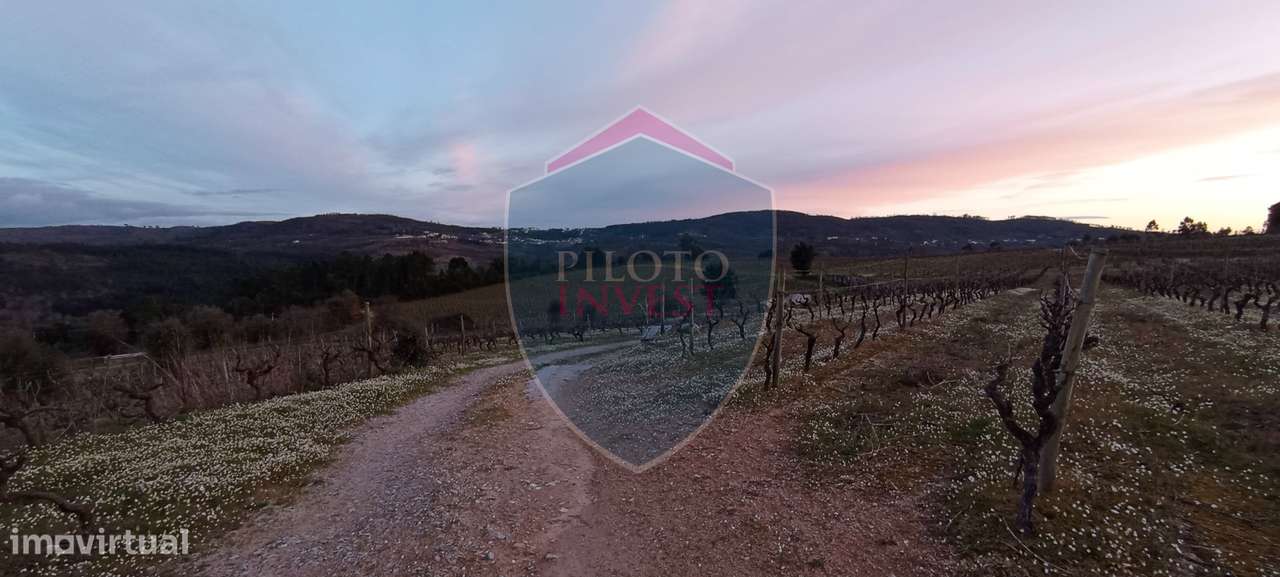 Quinta  Venda em Sezures,Penalva do Castelo-5