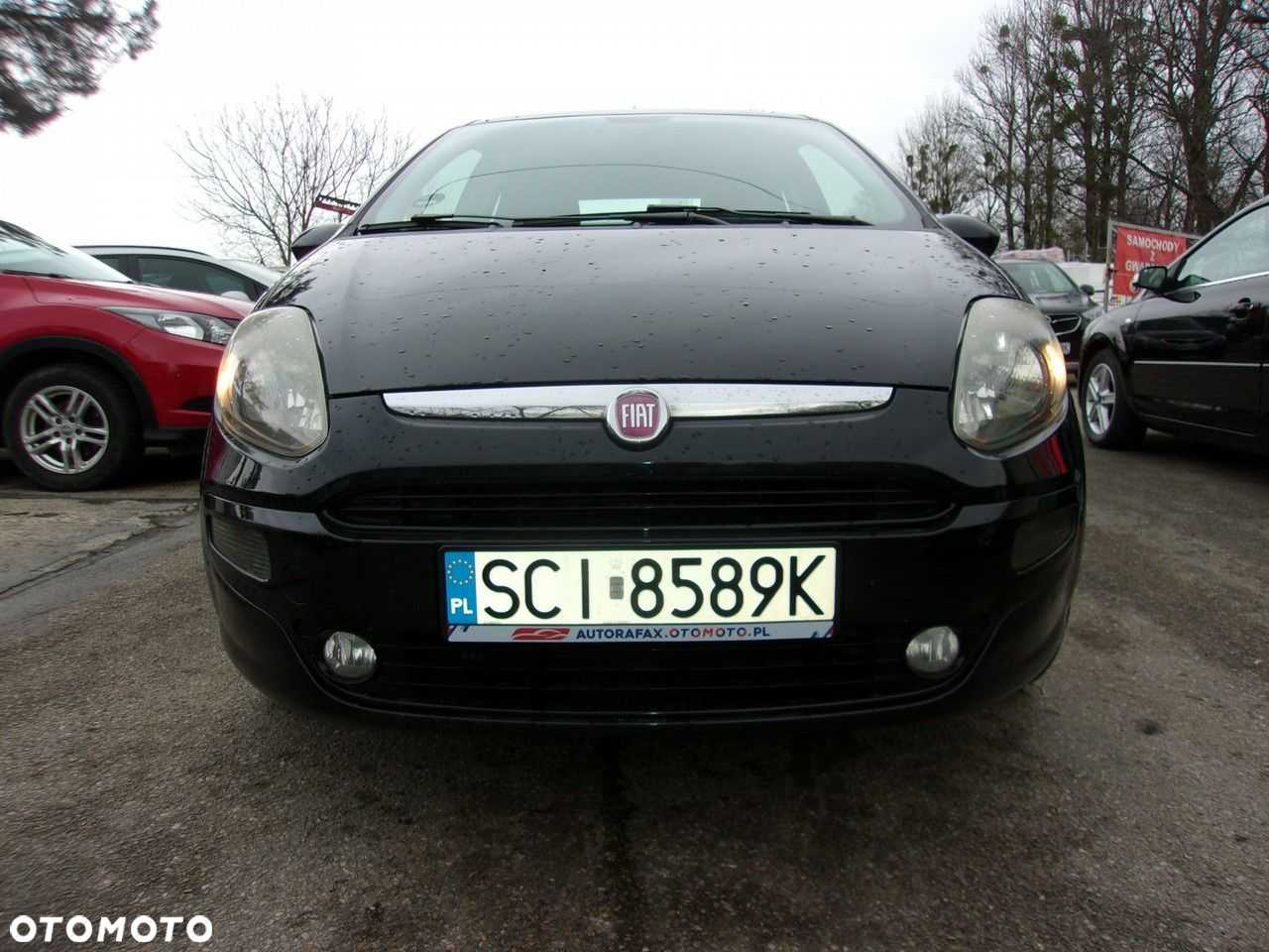 Fiat Punto - 5