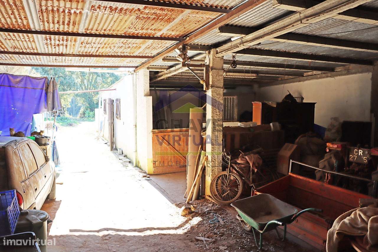 Magnífica Quinta c/ 10.490 m2 Concelho Cadaval-25