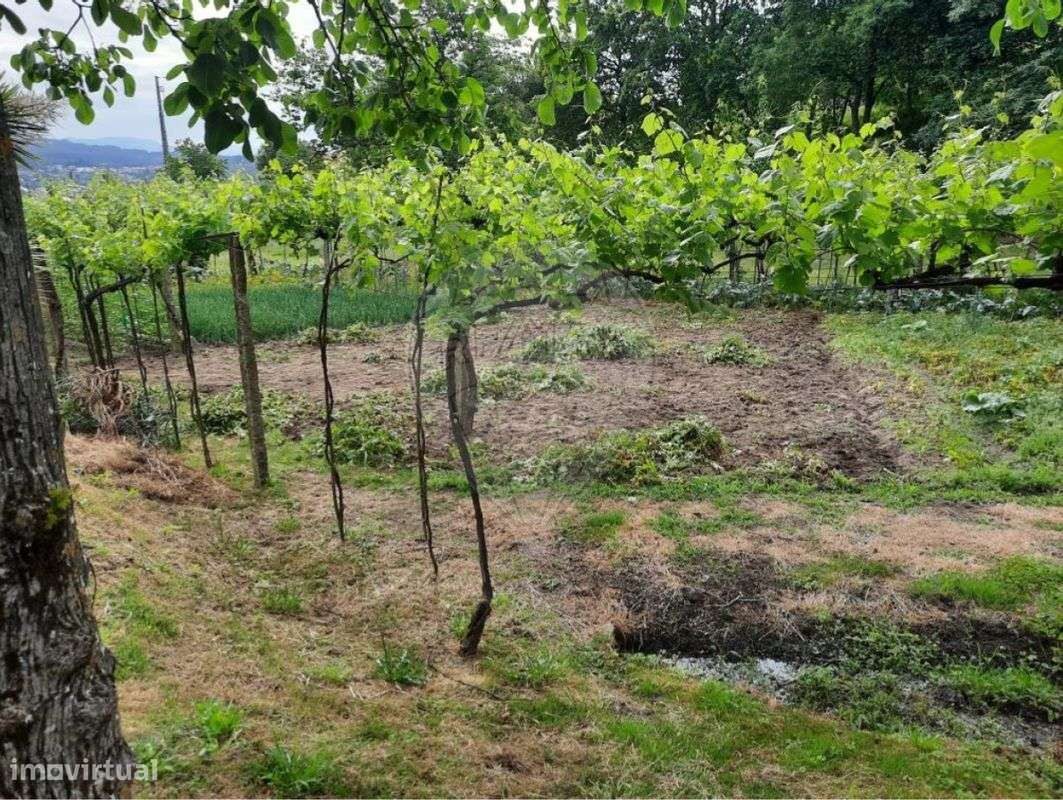 Terreno  para venda - Grande imagem: 4/6