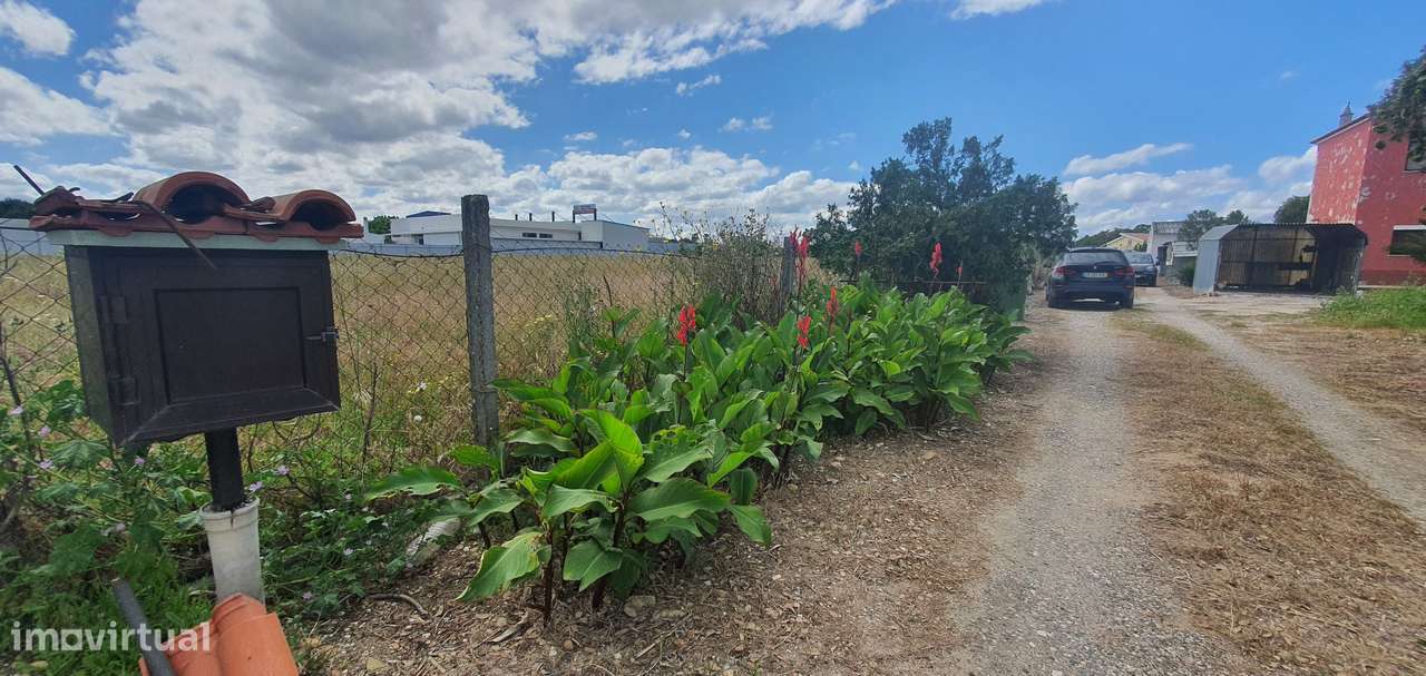 Quinta  5000m2 Viver no Campo Com a Cidade Por Perto Passil Alcochete-46