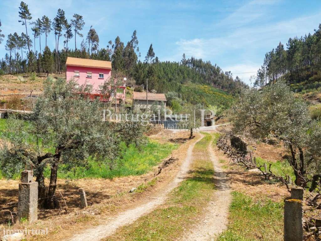 Quinta de 4ha com moradia de 3 pisos em vale rural - Grande imagem: 5/60