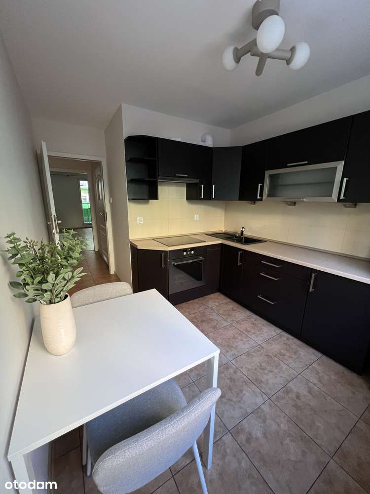 Gaj - swieżo po remoncie, 2 pokoje z osobną kuchnią i balkonem - Pełny obrazek: 5/8