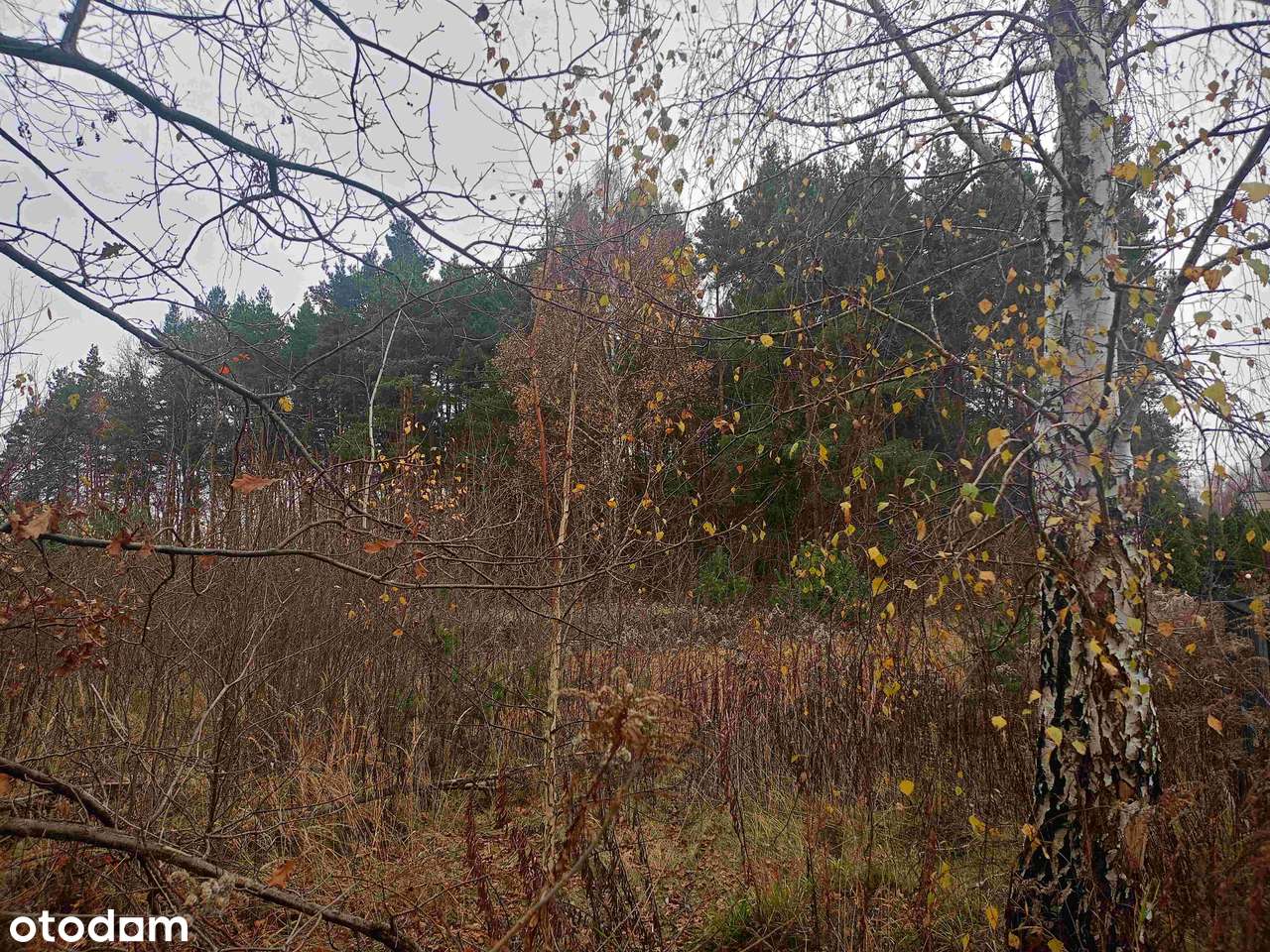 Działka usługowo-budowlana z przeznaczeniem na parking lub budowę domu-6