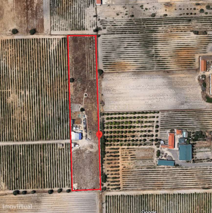 Terreno Rústico Palmela - Grande imagem: 3/5