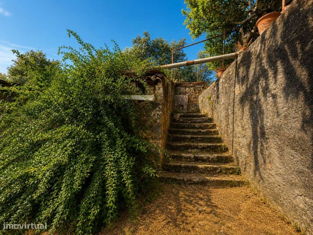 Casa das Ladeiras - Uma Casa com História para Criar o Seu Próximo ...-33