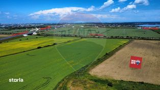 Teren intravilan de vânzare – 27.400 mp, Cernica, ideal investitie - Imagine principală: 5/9