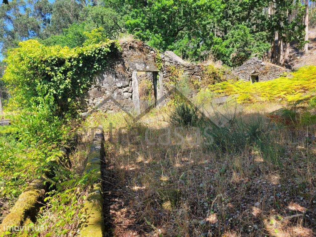 Casa em Ruínas - Refúgio Único em Plena Natureza-4