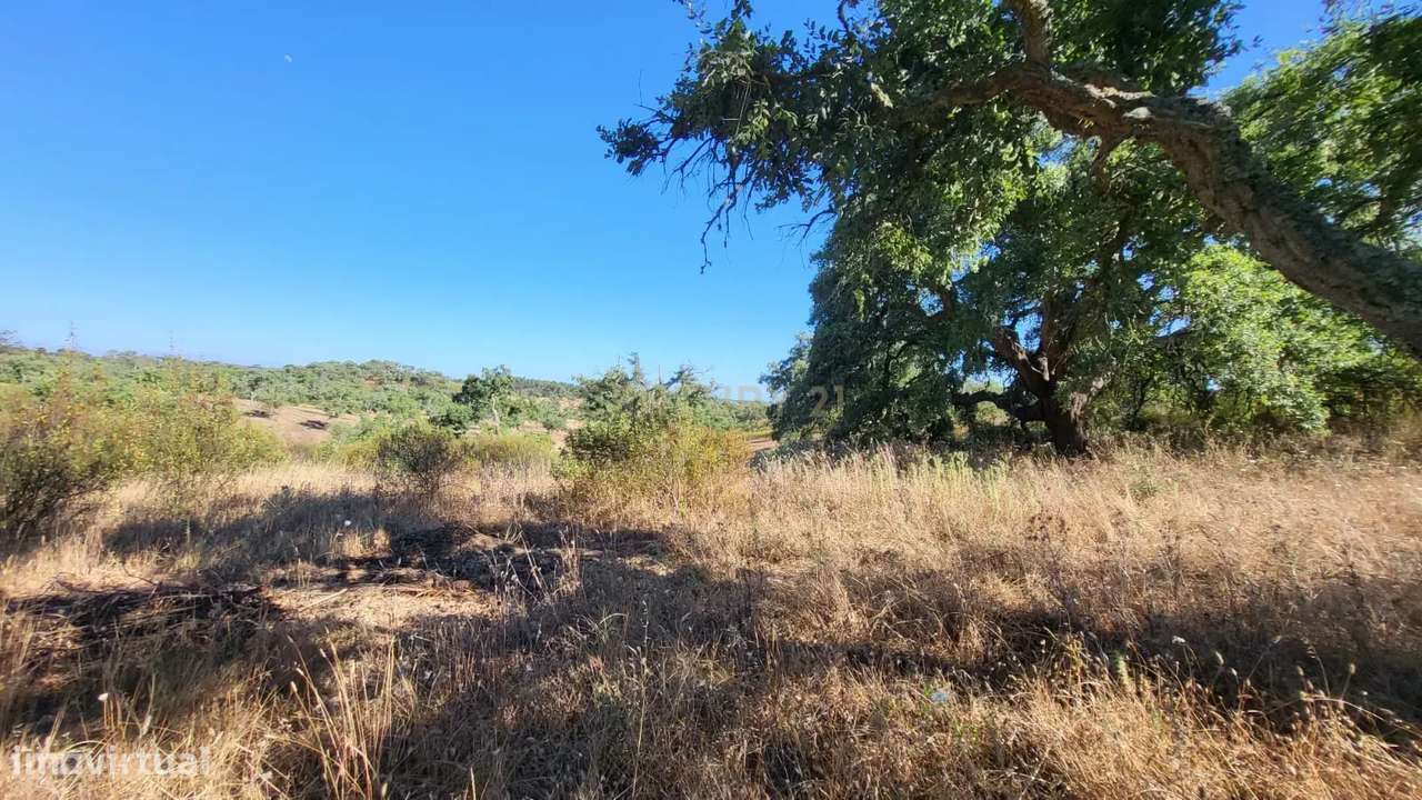 Monte Alentejano - viabilidade 6.000m2 p/ HOTEL RURAL ou 429m2 de HABI - Grande imagem: 4/11