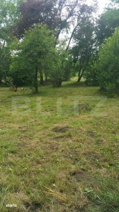 Teren intravilan 1200 mp, deschidere 37 ml, Breaza - Imagine principală: 3/3