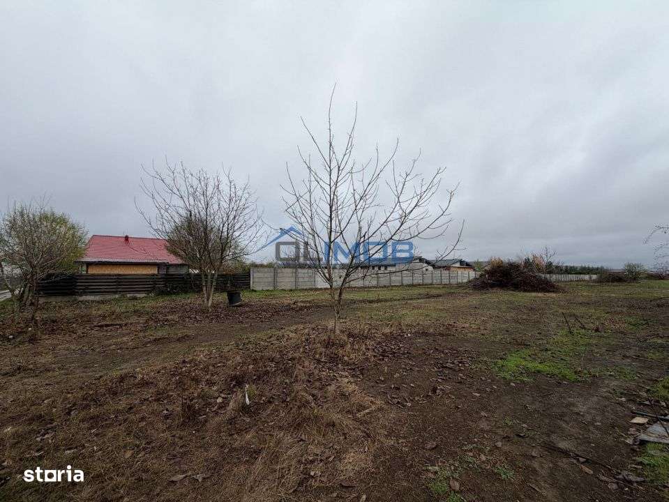 Corbeanca-Tamasi Oportunitate excelenta pentru dezvoltare rezidentiala-1