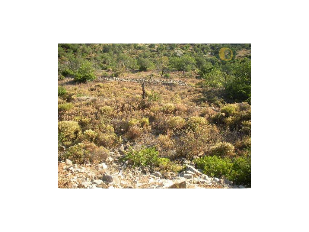 Terreno com vista mar - Grande imagem: 3/5