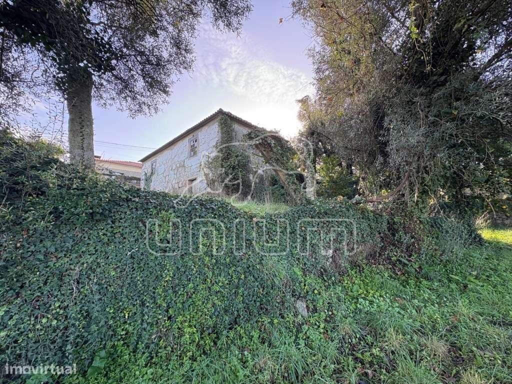 Propriedade para recuperar em Deão-11