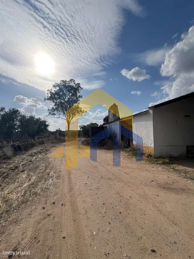 🏡 Quintinha em Monforte-12