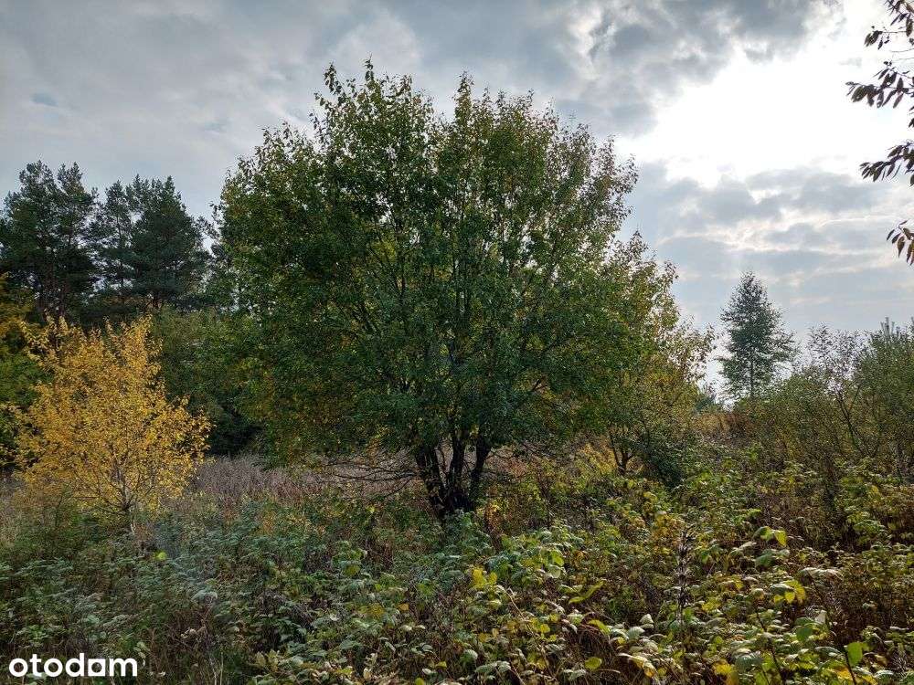 Działka budowlana na sprzedaż-3