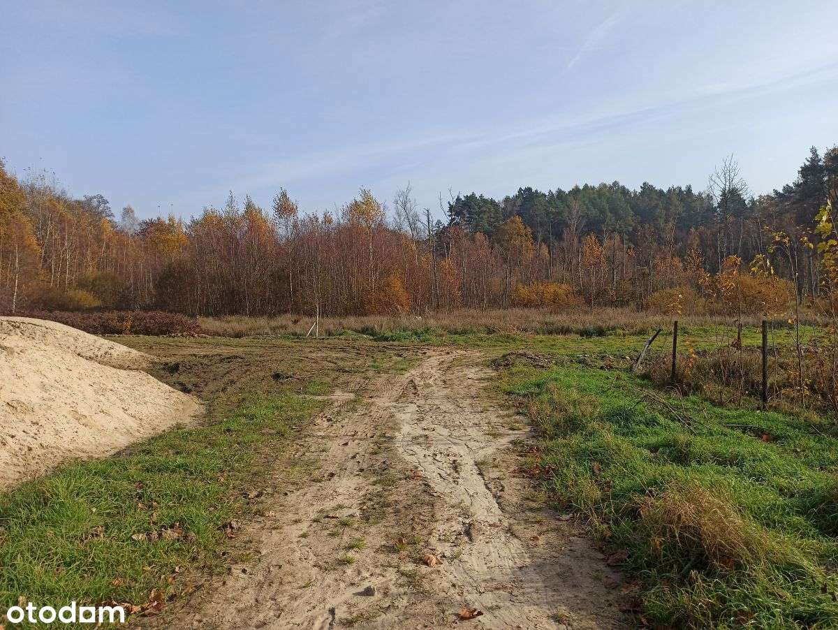 Leśniewo - działka 2369m2 z WZ z 2024r. - Pełny obrazek: 5/7