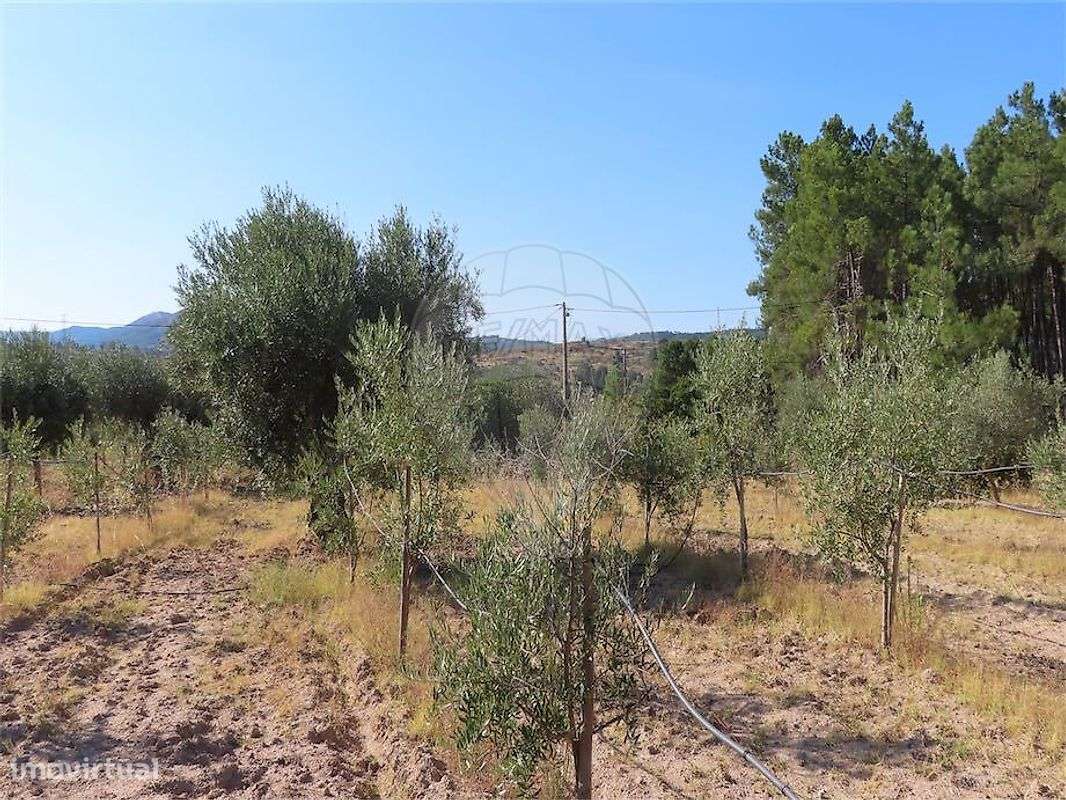 Moradia T3 para venda-45