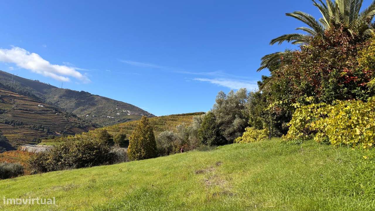 Terreno no Douro/Regua com Projecto aprovado para Moradia-6