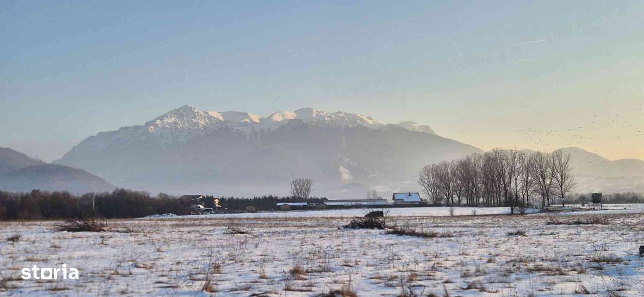 Teren, 600 m²,  - Imagine principală: 4/4