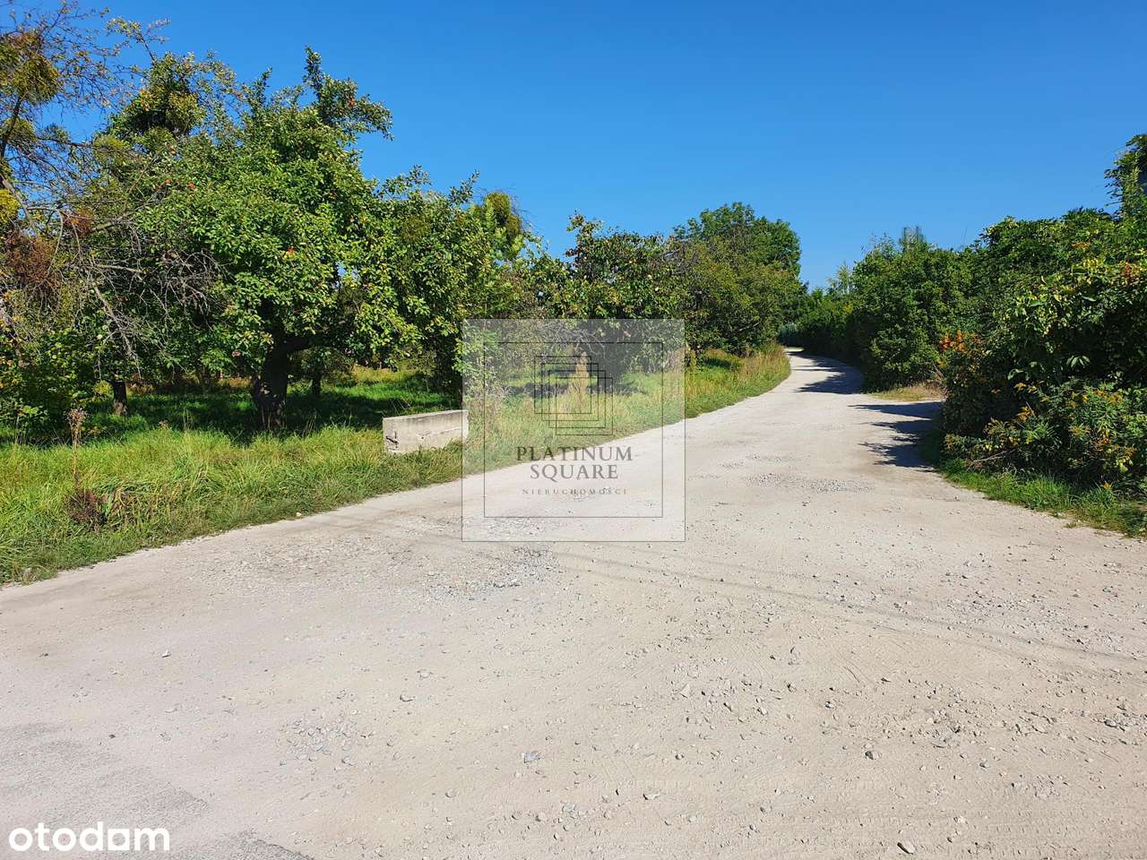 Działka pierwsza linia zabudowy-3