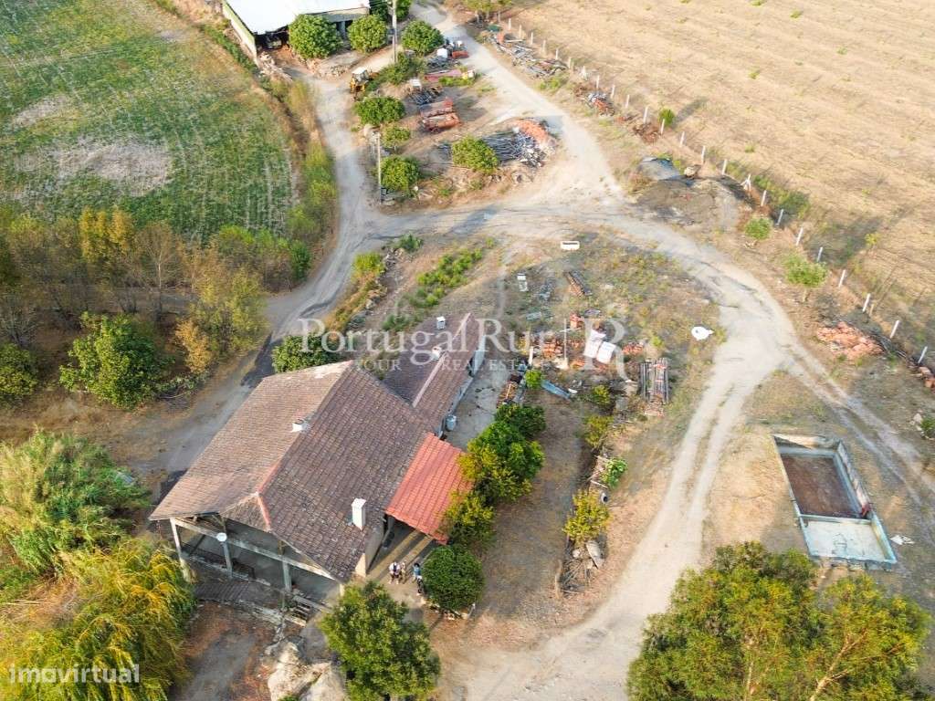 Quinta com 15 hectares em Castelo Branco - Grande imagem: 2/35