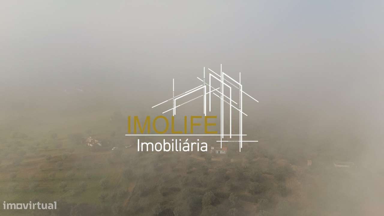 MONTINHO DO CHIADO - MALARRANHA - PAVIA-33