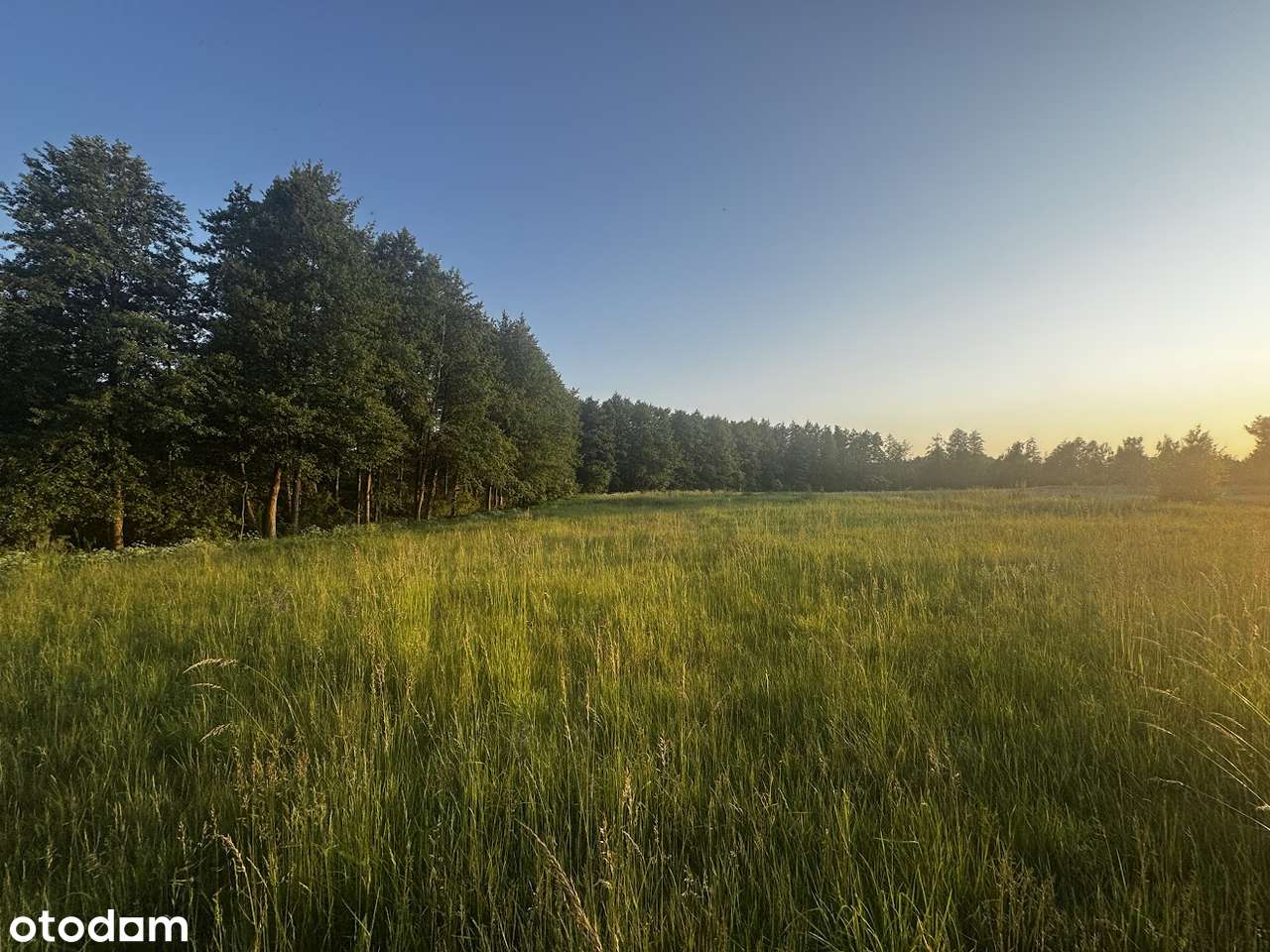 Działka budowlana w pobliżu lasu (200 metrów od jeziora)-5