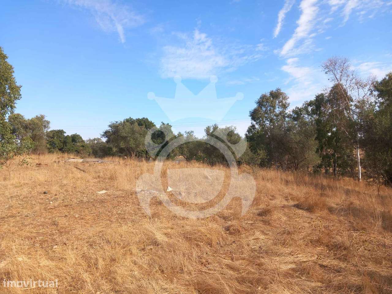 Monte junto à EN265 (Concelho de Serpa)-13