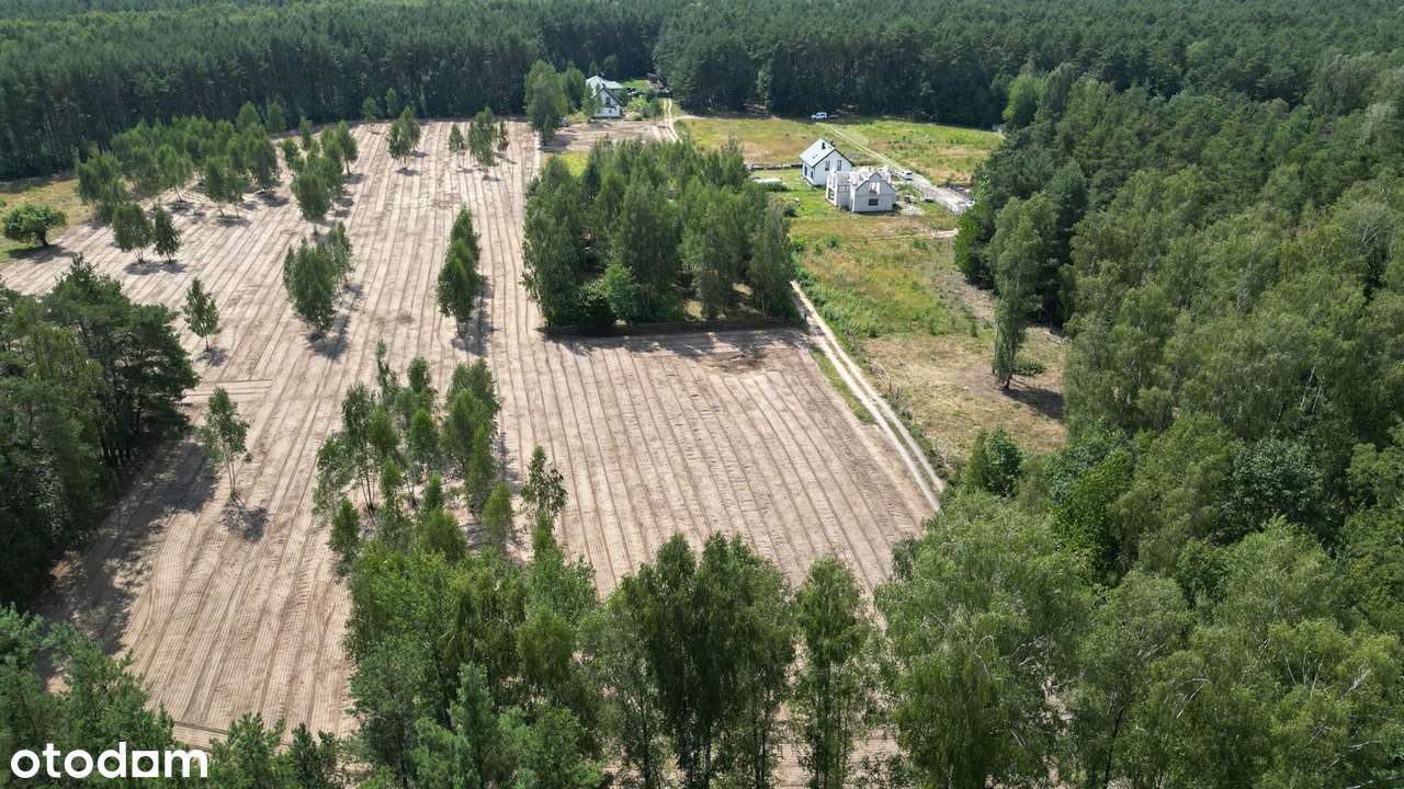 Działka budowlana 1520 m2, MPZP, 4 km od Tarczyna, 30 od Warszawy - Pełny obrazek: 4/14