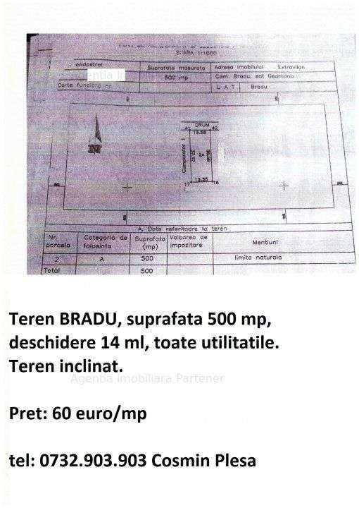 Terenuri Bradu, diverse suprafete - Imagine principală: 2/10