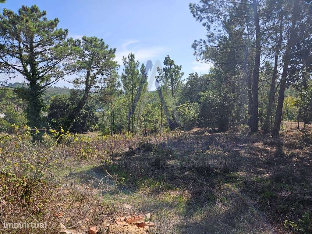 Excelente oportunidade de investimento! - Grande imagem: 3/7