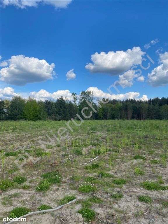 2,8 ha zabudowa wolnostojąca lub bliźniacza ! - Pełny obrazek: 5/9