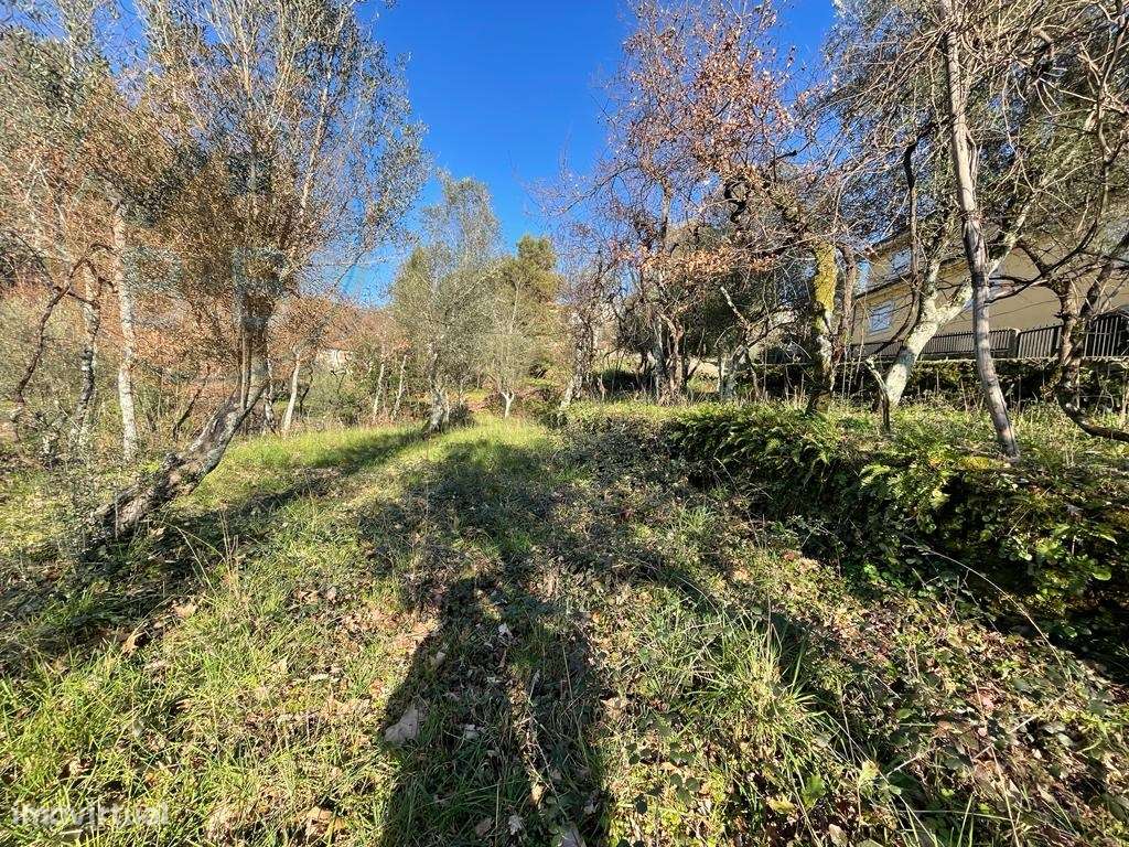 Moradia T4 em Chacim, Cabeceiras de Basto-25