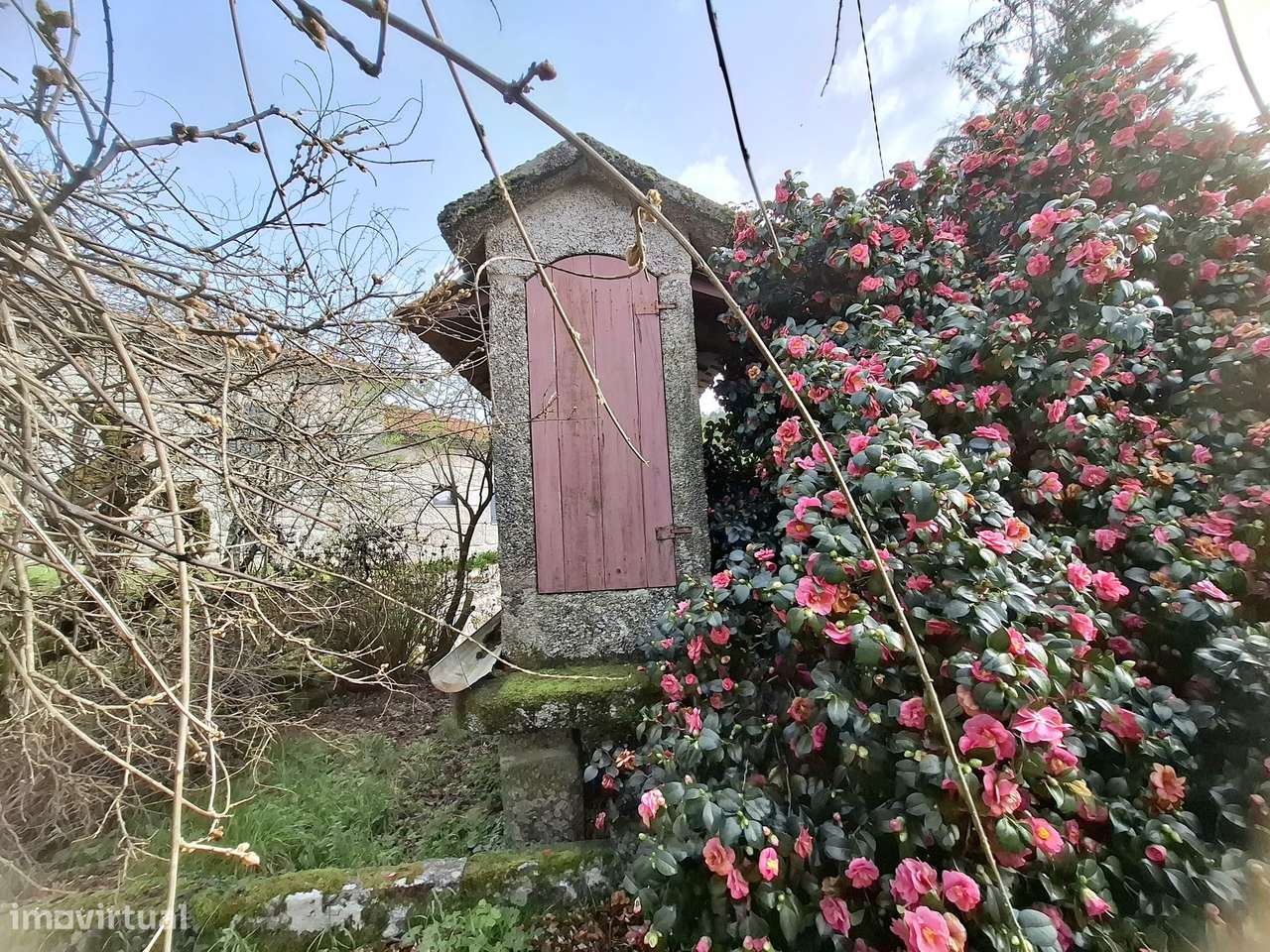 CONJUNTO DE 3 MORADIAS em Rossas, Vieira do Minho, Braga-9