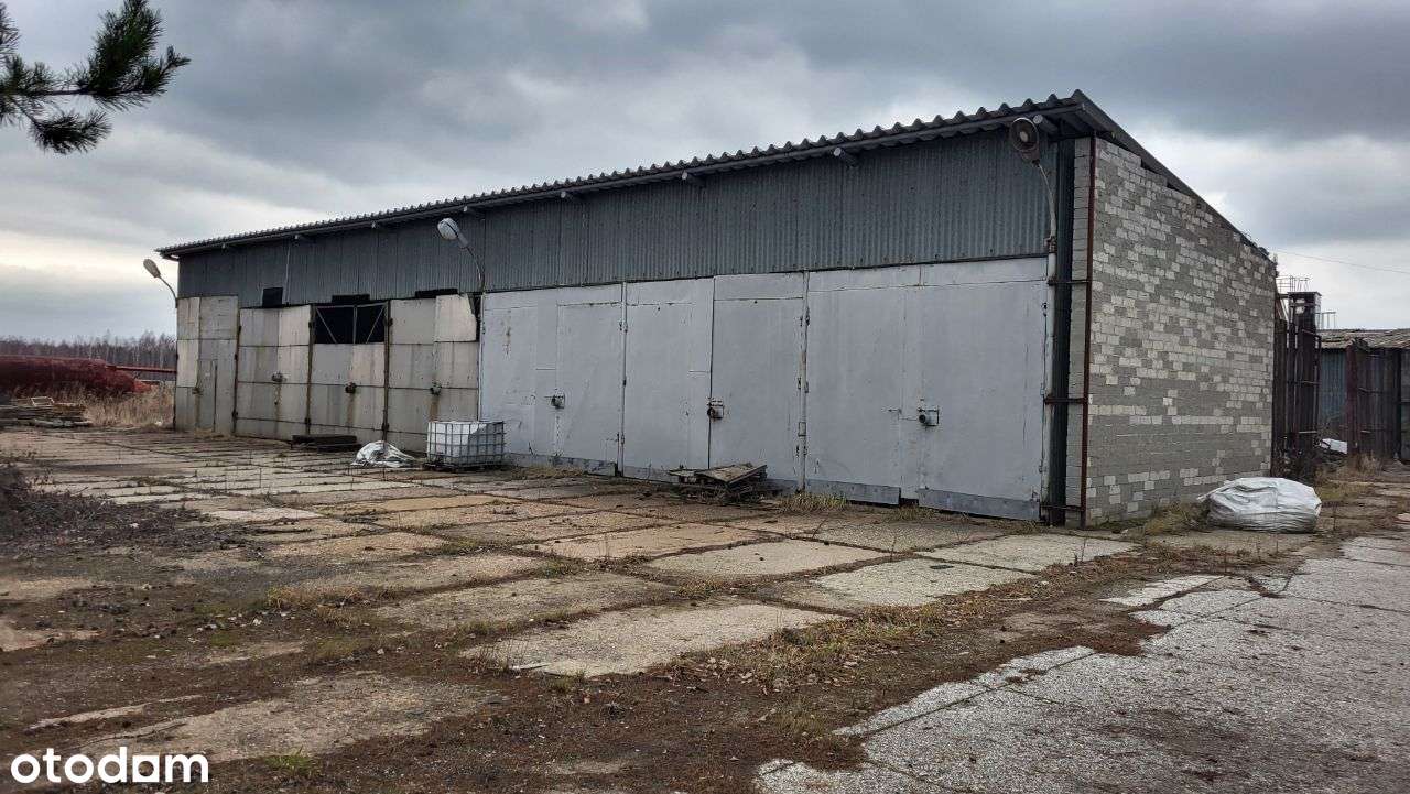 Obiekt przemysłowy Tarnobrzeg - Pełny obrazek: 5/8