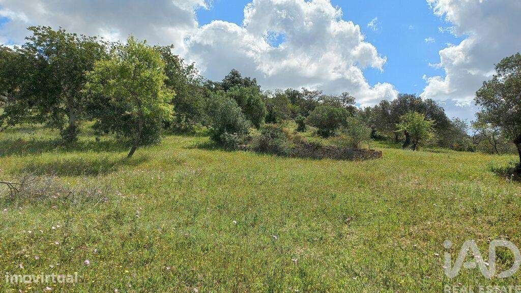 Terreno em Santa Bárbara de Nexe - Grande imagem: 2/6