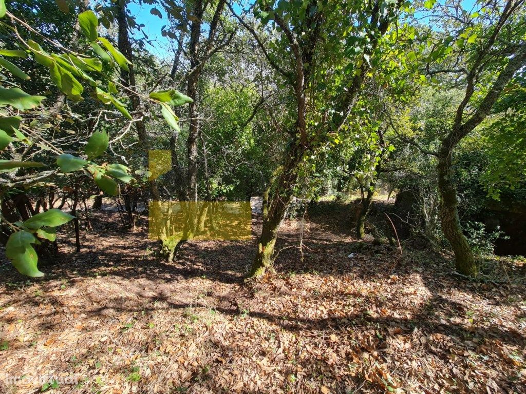 Terreno Urbano em Almornos - Almargem do Bispo, Sintra.