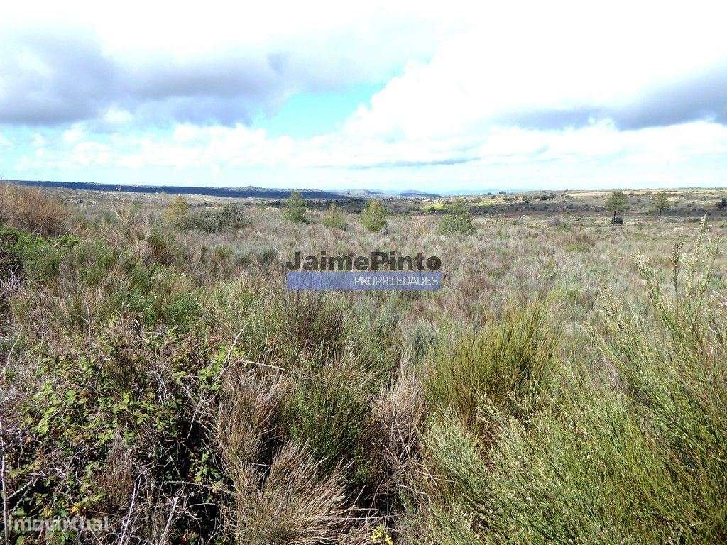 Quinta, herdade de 210.000m2 para agricultura. Portugal, Guarda, F.... - Grande imagem: 5/9