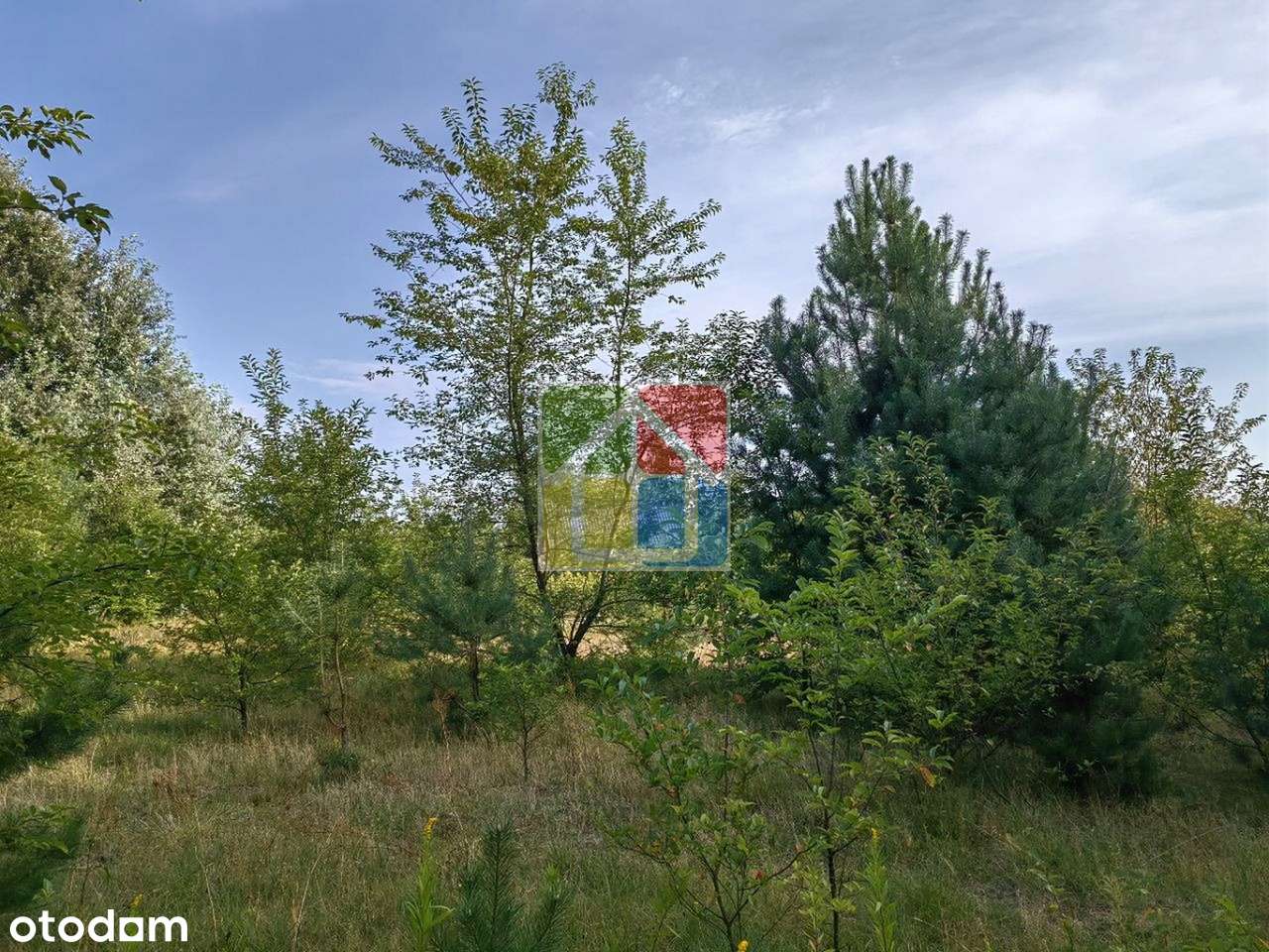 Działka budowlana 400 metrów od plaży nad jeziorem Białe - Pełny obrazek: 4/5