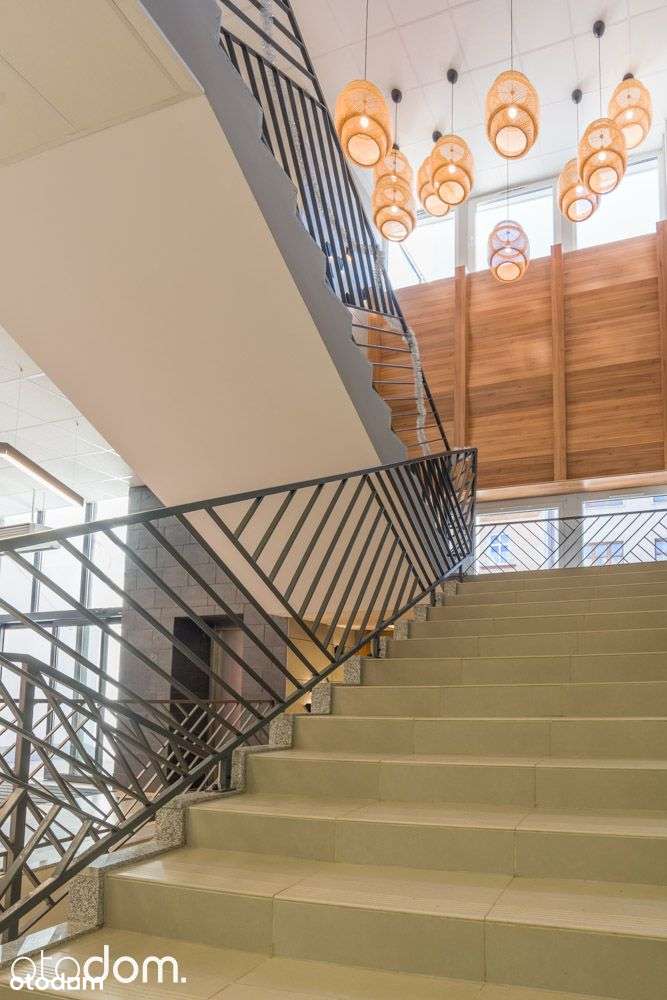 Powierzchnie handlowe DH Franky Ząbkowice Śląskie - Pełny obrazek: 4/7