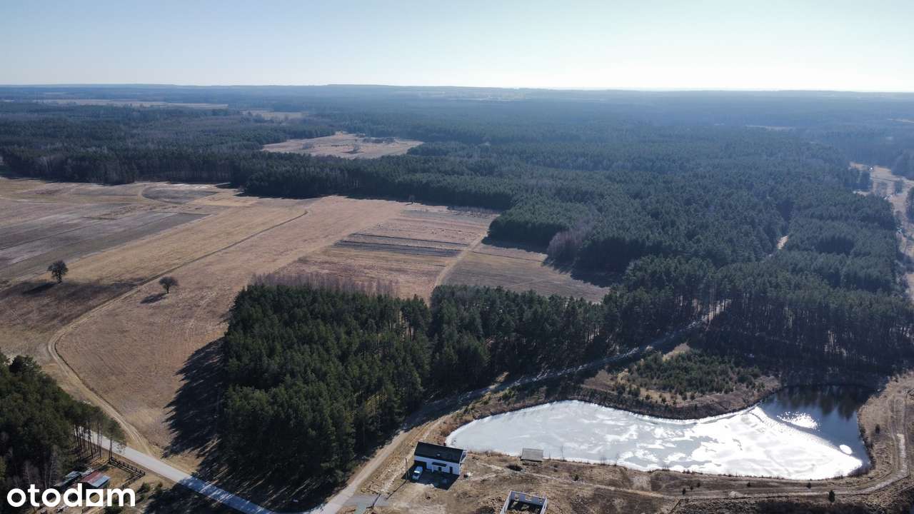 Piękne działki pod samym lasem, Smyków (gm. Raków) - Pełny obrazek: 4/14