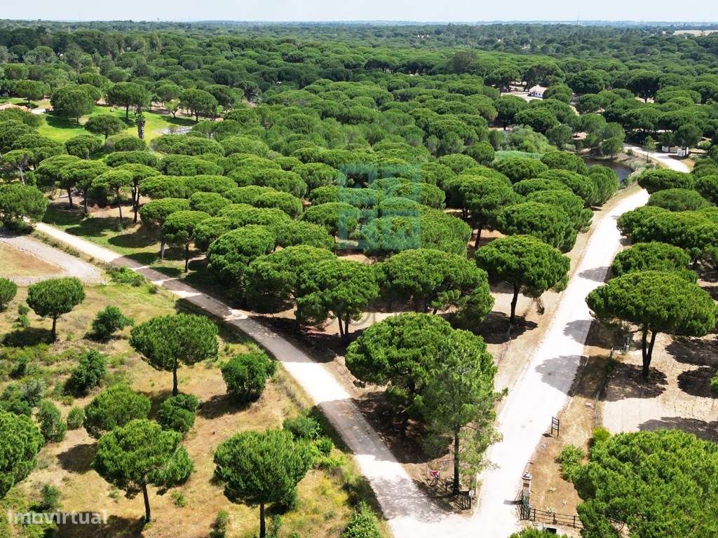 Lote de Terreno de 33.300m2, com lagoa, na Mata do Duque 1, Santo E...-32