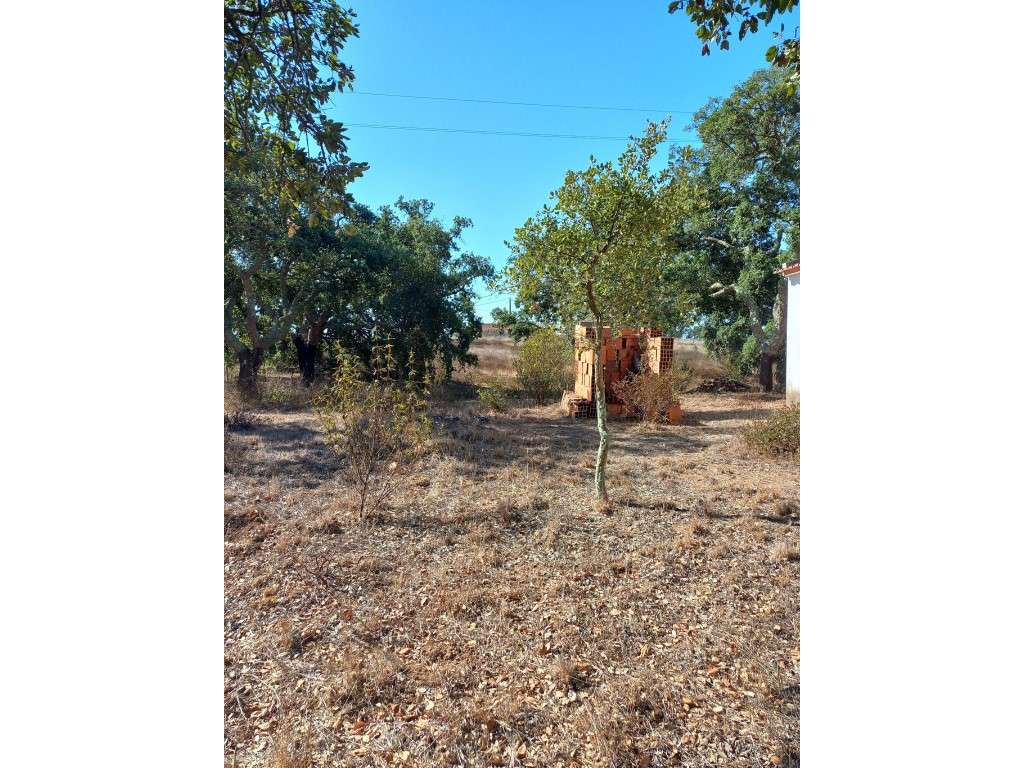 Terreno em são Francisco da Serra-5