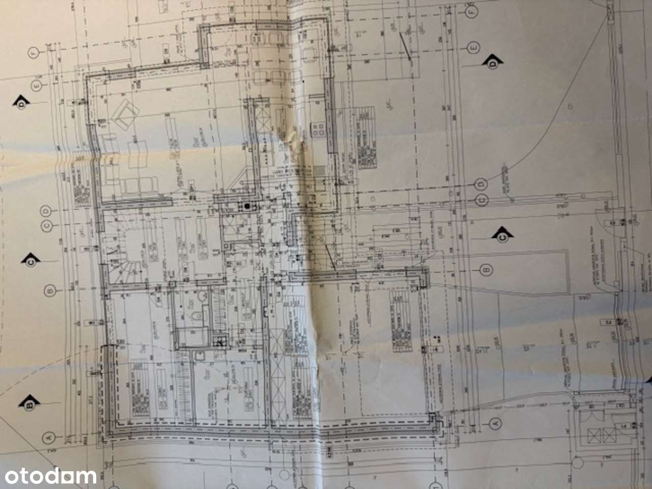 wolnostojący, Rybie-19