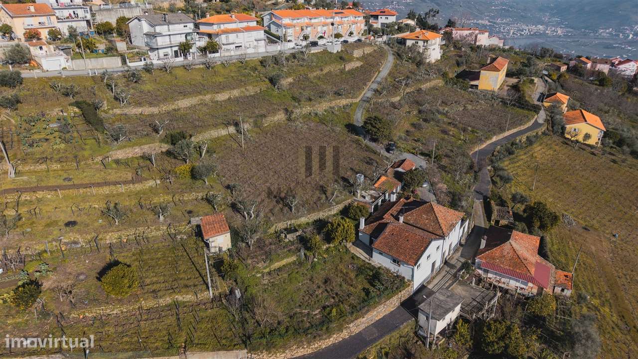 Oportunidade no Douro | Quinta com História | Lamego-11