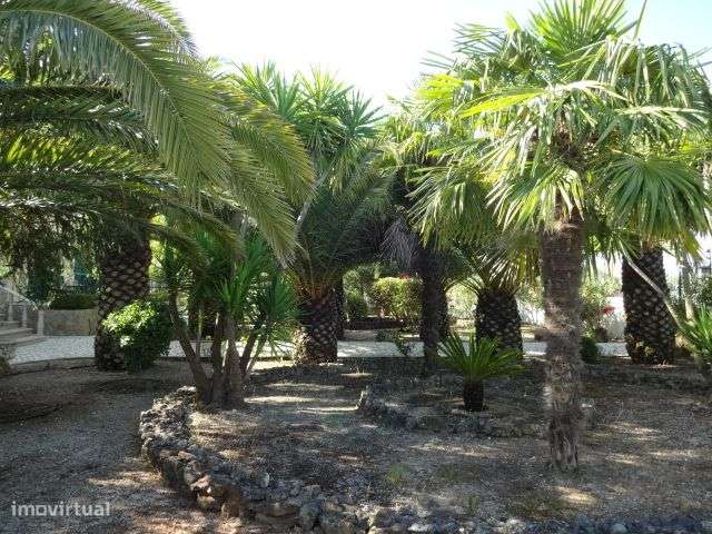 Quinta T/7 Cartaxo-23