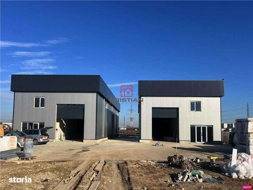 Vanzare depozithalaspatiu industrial Domnesti - Centura - Imagine principală: 2/5